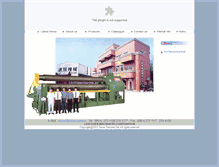Tablet Screenshot of lemas.com.tw